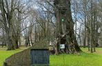 Muzeum Zamoyskich w Kozłówce wczesną wiosną