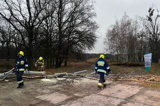 Nietypowa akcja straży 