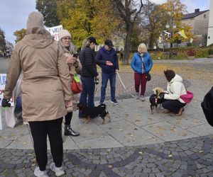 Wielki marsz adopciaków w Radomiu