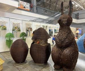 Eska Summer City na V Światowym Festiwalu Wikliny i Plecionkarstwa