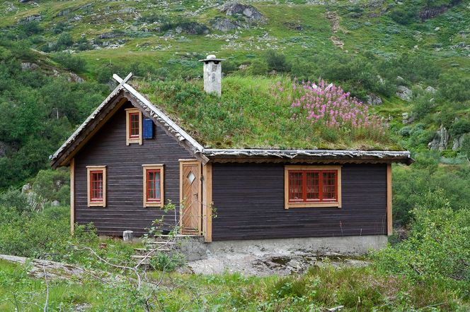 Hytte - norweski domek letniskowy