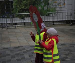 Dzień Solidarności Międzypokoleniowej w Lublinie