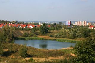Rezerwat Wietrznia w Kielcach