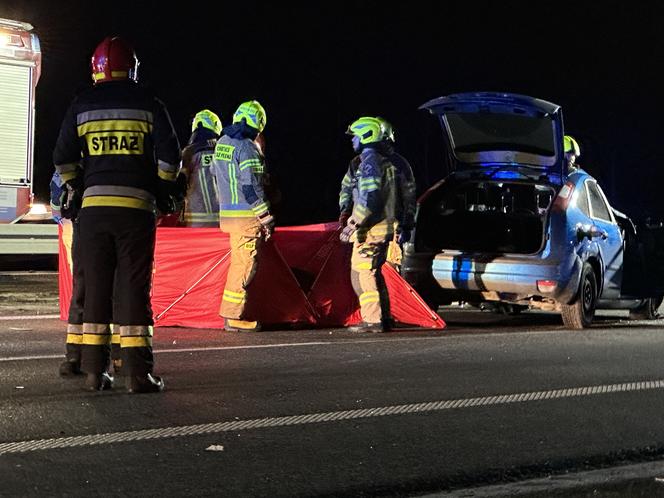 Tragiczny wypadek pod Warszawą. Chciał ominąć psy, roztrzaskał się o słup. Nie żyje