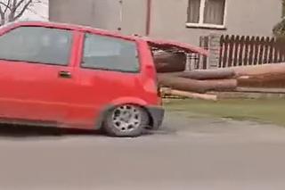 Małym autem wiózł wielkie bele drewna!