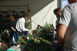 Chorzów: Kwiaty, zioła i dodatki do ogrodu. W Parku Śląskim trwa Święto Kwiatów [ZDJĘCIA]