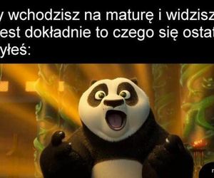 Memy o maturze