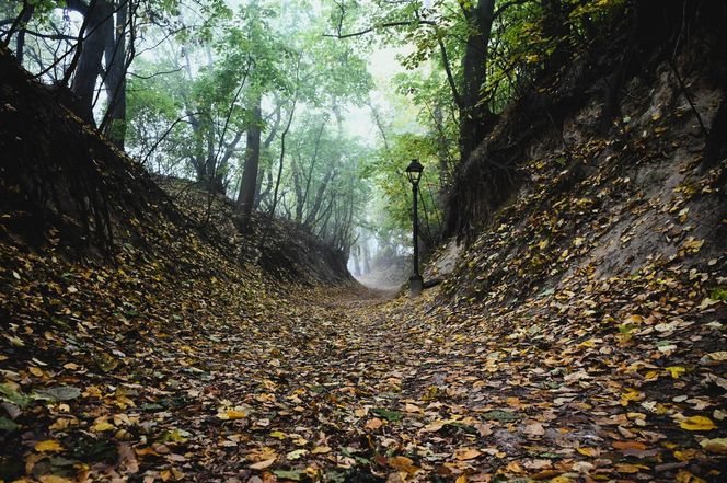 Sandomierz w jesiennej szacie z lotu ptaka