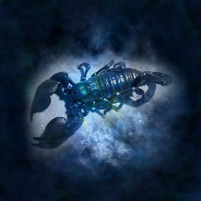 Horoskop 6.12: Skorpion 