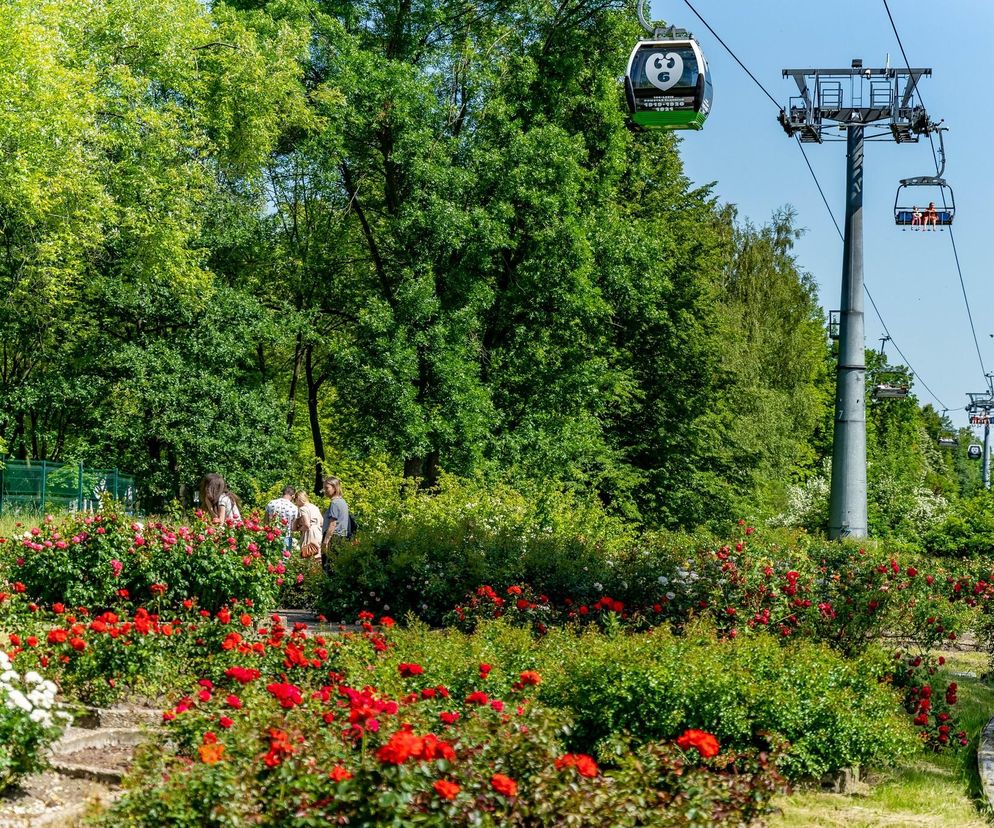 Rosarium w Parku Śląskim