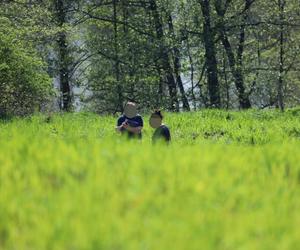 Ciągnik przygniótł rolnika. Dramat na polu, śmigłowiec w akcji