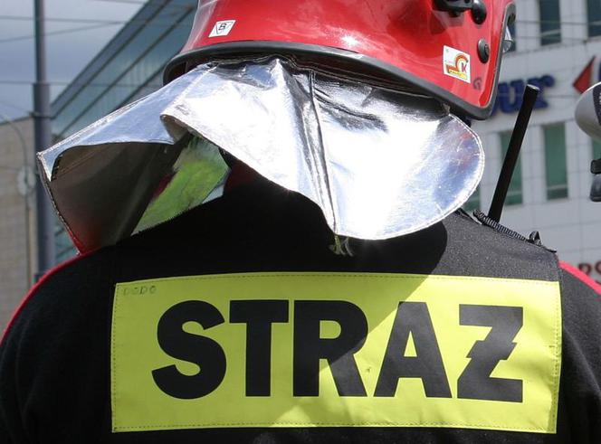 Ewakuacja wieżowca w Zielonej Górze