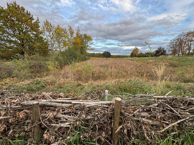 Serenity Park w Mysłowicach to nowe miejsce wypoczynku na Śląsku