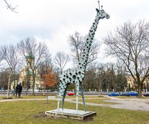Galeria samochodowa w Warszawie na Woli