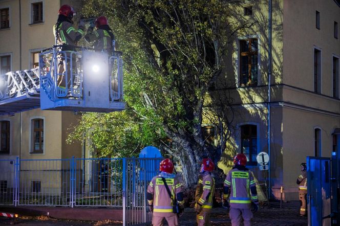 Polska pod naporem wichur! Strażacy nie mieli chwili wytchnienia