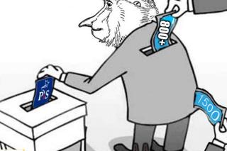 Internauci komentują 800 plus. Te memy rozbawią cię do łez!