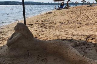 Szukamy imienia dla Syrenki, która pojawiła się na plaży w Brodach