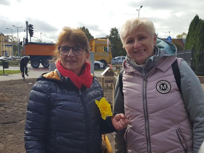 Nie tylko żonkile. Tysiące cebulek kwiatowych posadzono dziś na Polu Nadziei w Lesznie