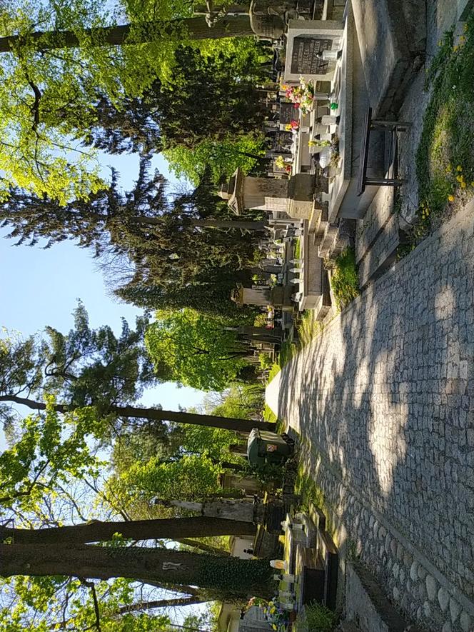 Wiosna w Lublinie