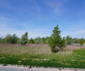 Poza budową osiedla na początku, tak wygląda większość otoczenia ulicy 
