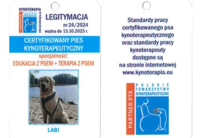 Labi „pracuje” w bydgoskiej straży miejskiej od prawie roku