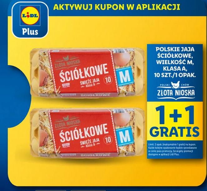 Promocje w Lidlu