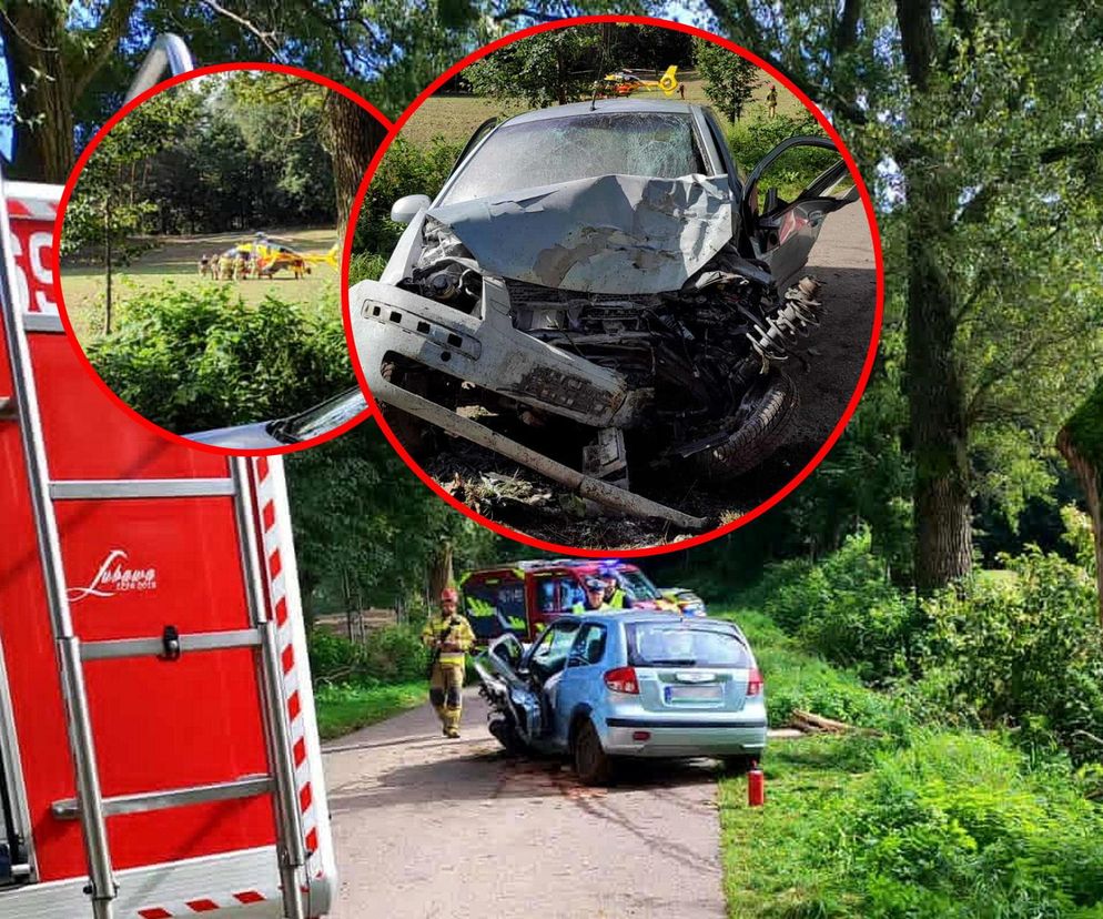 Młody kierowca wjechał w drzewo. 29-latek jechał bez pasów i prawa jazdy