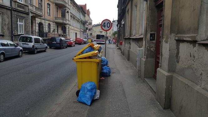 Bydgoszczanie mają już dość! Wciąż toną w śmieciach!