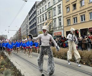  Korowód św. Marcina w Poznaniu 2024