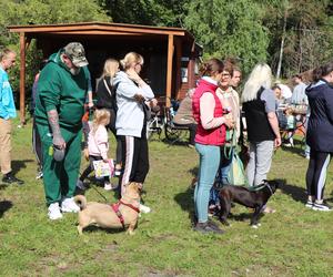 IX Piknik Przyjaciół Schroniska w Toruniu