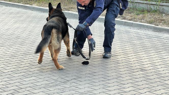 16-latek pchnięty nożem. Bijatyka zakończyłą się fatalnie. Policja szuka sprawcy