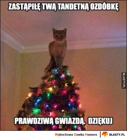 Choinka memy