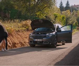 Miłość i nadzieja odc. 300. Kuzey, Sila