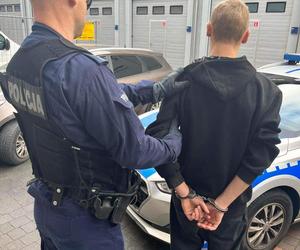 18-latek z Gdańska ukradł tablicę rejestracyjną. Teraz grozi mu więzienie