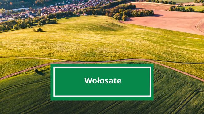 Wołosate