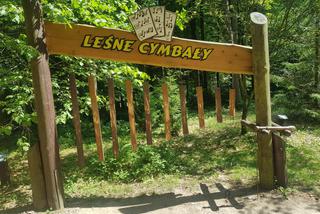 Leśne Arboretum Warmii i Mazur w Kudypach