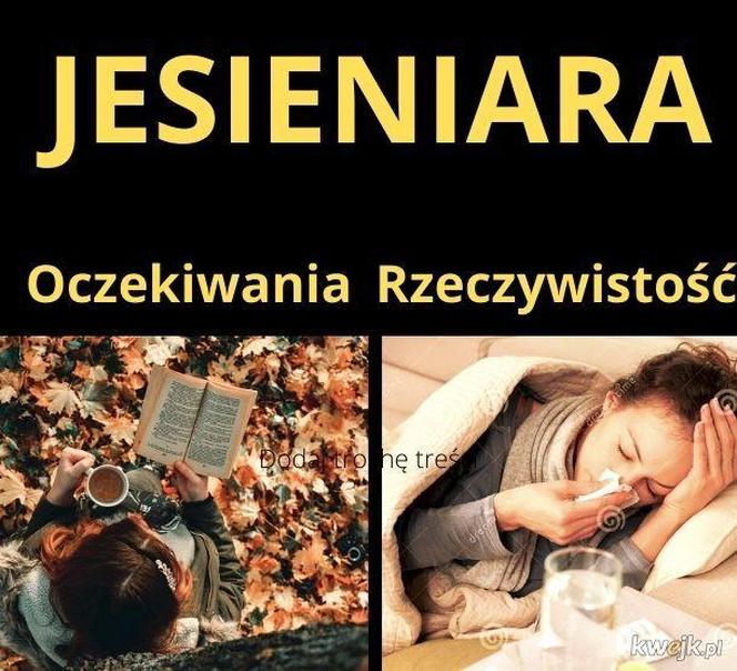 Kocyki, sesje w liściach, czyli jesieniary wracają! Zobacz najlepsze memy 