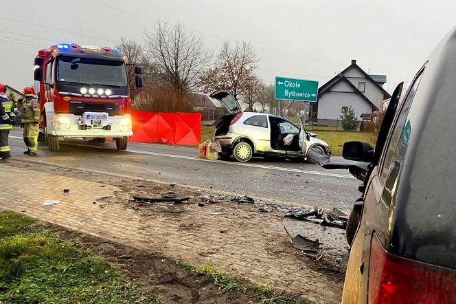 Tragiczny wypadek na DK 25 pod Bydgoszczą! Nie żyje jedna osoba 