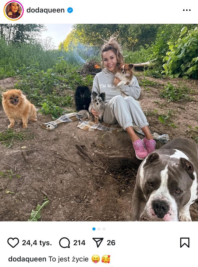 Te psy skradły serca gwiazd! Niektóre wyglądają jak z bajk