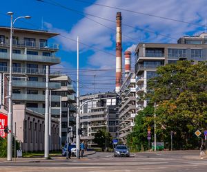 Kępa Mieszczańska we Wrocławiu - widok z drona