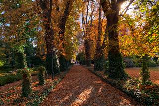 Jesień w ogrodzie botanicznym we Wrocławiu