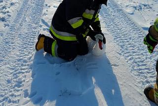 Łabędź przymarzł do tafli lodu. Uratowali go strażacy z OSP Sątopy Samulewo [ZDJĘCIA]