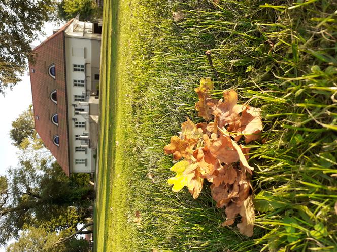 Wycieczka krajoznawcza Muzeum Regionalnego w Siedlcach śladem upamiętnień wojny polsko-bolszewickiej z 1920 roku