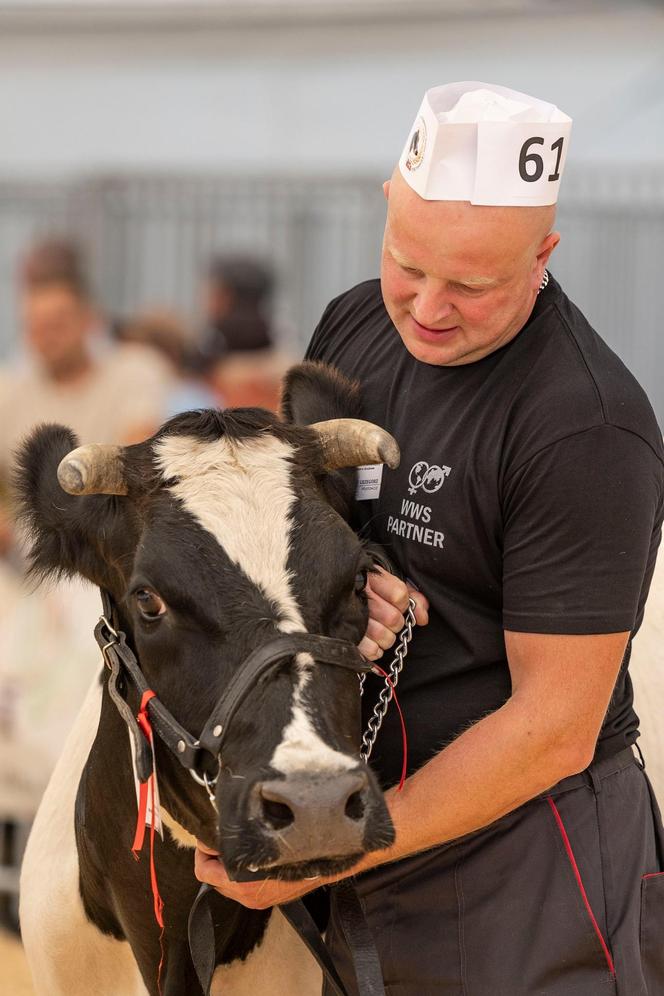 Jesienne Targi Rolnicze w Gryźlinach 2024. Wydarzenie przyciągnęło tłumy. Zobacz zdjęcia