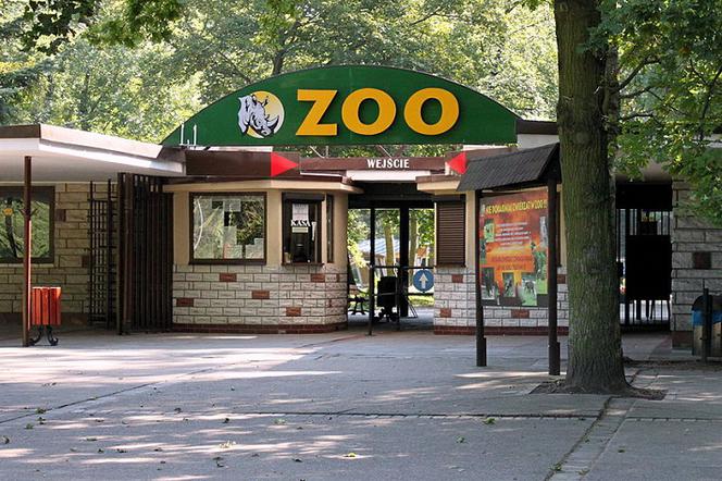 Ireneusz Sobiak nie zgadzał się na przyjmowanie do zoo zwierząt z cyrków czy nielegalnych hodowli.