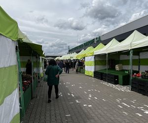 Ceny na bazarach w Białymstoku. Tyle zapłacimy za warzywa i owoce