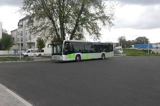Kraków: Specjalne autobusy pojadą na Bagry i Kryspinów