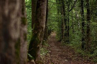 To najpiękniejsza nazwa wsi w woj. lubelskim według AI