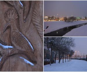 Drewniane rzeźby nad Bystrzycą w Lublinie okryły się białym puchem