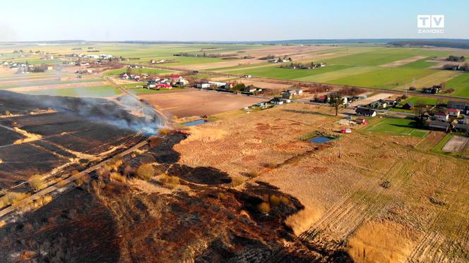 Szczebrzeszyn:  strażacy ugasili pożar, który pochłonął  blisko 150 hektarów suchych traw